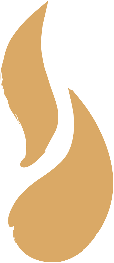 salt + lite flame gold