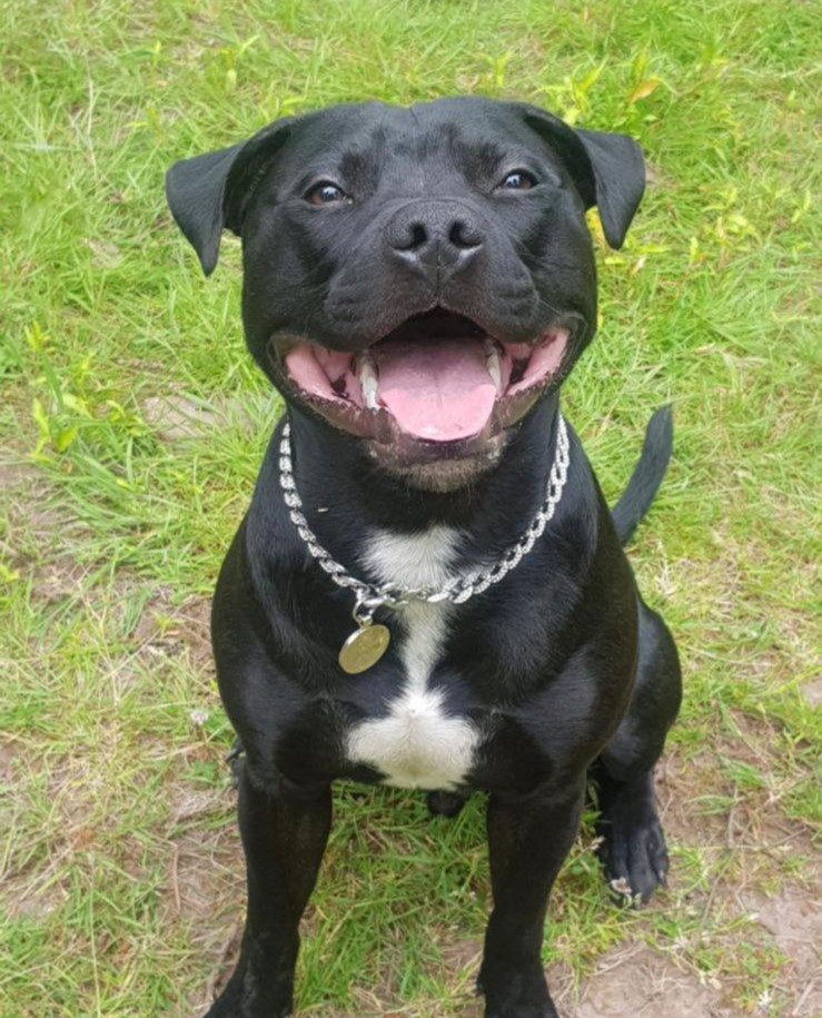 whatsapp image 2026 01 30 at 11.24.17 pm