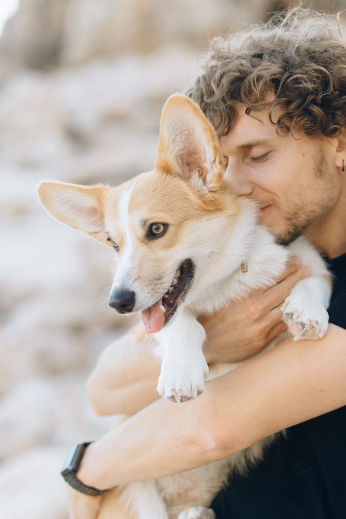 A man lovingly holds a cheerful Corgi in a warm outdoor setting, showcasing companionship and joy.